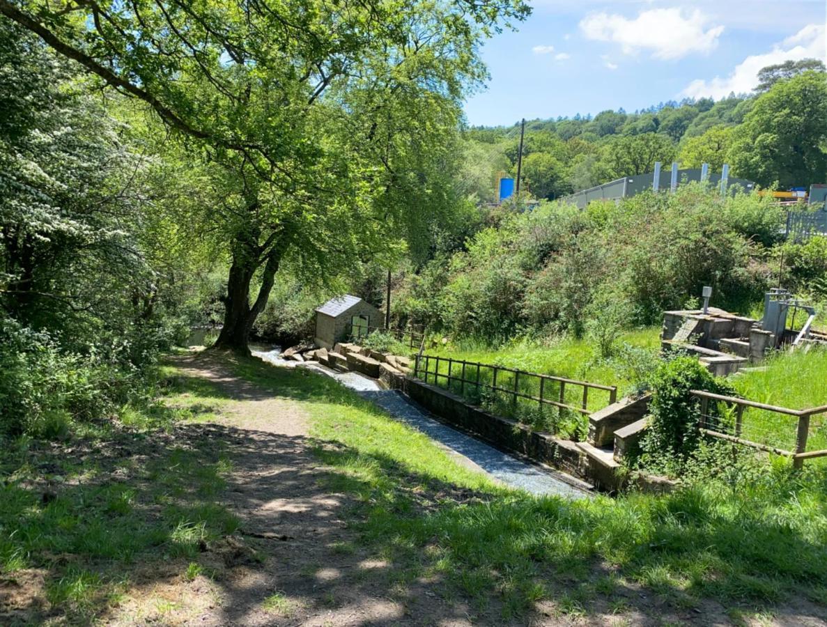 Old Co Op House -Forest Of Dean Bream Exteriör bild